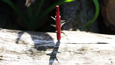 Thorn Broadheads Crown Broadhead Test