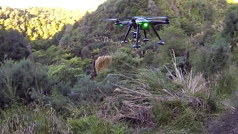 Drone gets shot down by high powered rifle