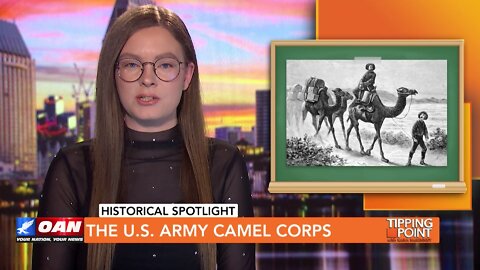 Tipping Point - Historical Spotlight - The U.S. Army Camel Corps