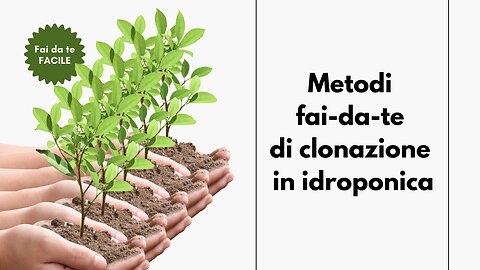 Metodi fai-da-te di clonazione in idroponica