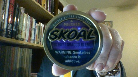 The Skoal Berry Tobacco Blend Pouches Review
