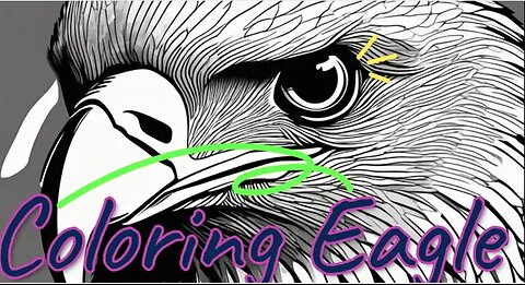 Coloring Eagle With Printable PDF(ORIGINAL ASMR)