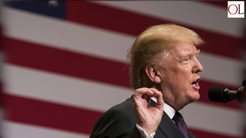 Deportations Down 17 Percent Under Donald Trump