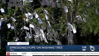 Vista residents spread holiday cheer on 'Wishing Tree'