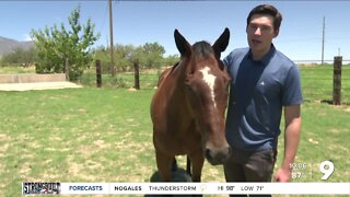Horse rescue feeling inflation strain with higher costs, more horses