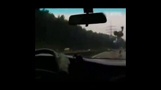 Flying creature crashes into car