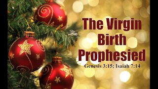 The Virgin Birth Prophesied