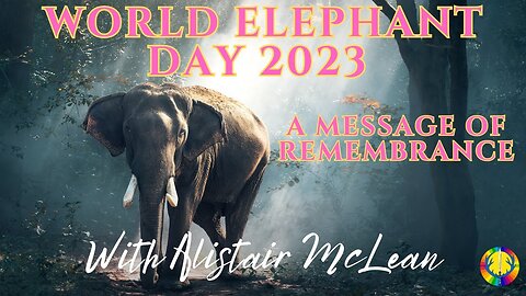 World Elephant Day 2023 - A Channelled Message of Remembrance | The Lion's Share Podcast #2