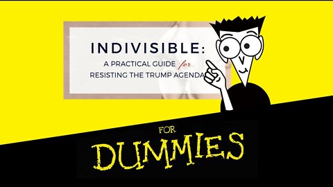 Indivisible: Organizing for Dummies