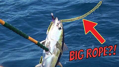 A FAT tuna STUCK on HUGE ROPE {Catch and Cook}