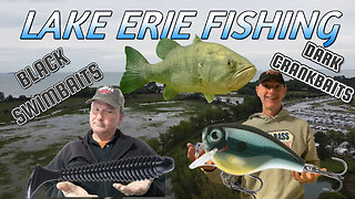 Lake Erie Marina Bass Fishing with R & J Bass Fishing