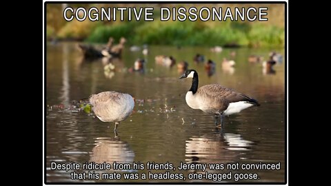 Cognitive Dissonance: the narcissism projection of too much unfounded conviction