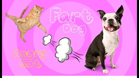 🐶Fart Dog vs. Angry Cat😾