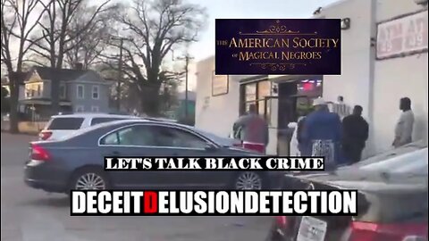 Black On White Crime Report 54 Deceit Delusion Detection