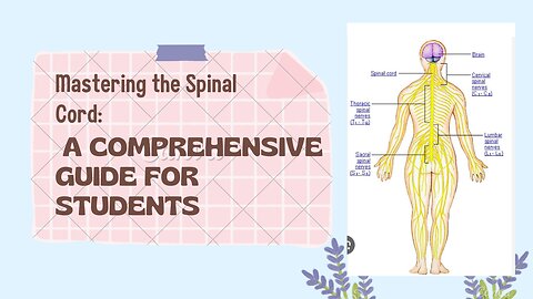Mastering the Spinal Cord: A Comprehensive Guide for Students