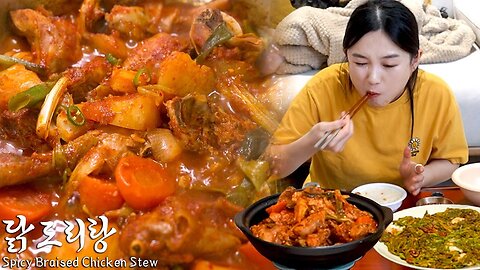 No-fail "Braised Spicy Chicken stew" recipeㅣShrimp-Jeon, Soju