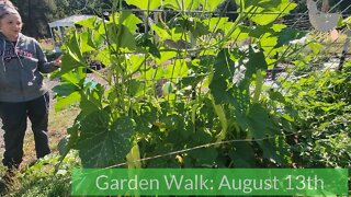 Garden Walk! August 2022 | Adventures In Reality