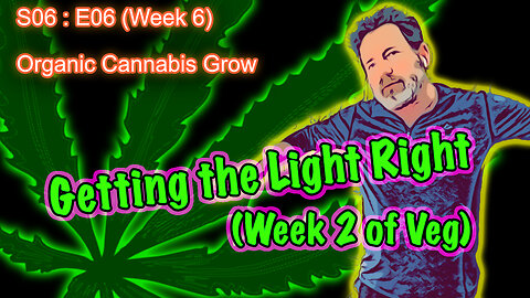 S06 E06 - Organic Cannabis Grow (Week 6) How to Get the Light Right in Early Veg