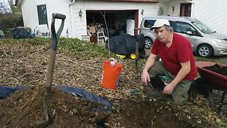 Planting our New Fruit Trees