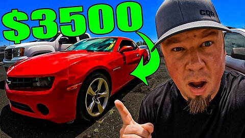 CRAZY PRICES At Car Auction! Dealers IN TROUBLE!