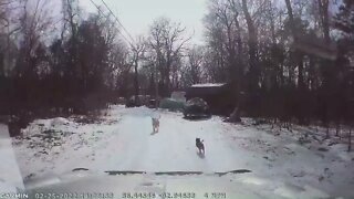 Sleet on Secondary Roads Northern Boone County, Arkansas Feb 25, 2022