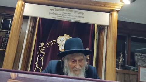 Rabbi Fishbain Parshas Shoftim mostly Yiddish