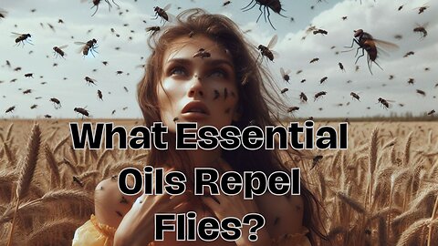 What Essential Oils Repel Flies?
