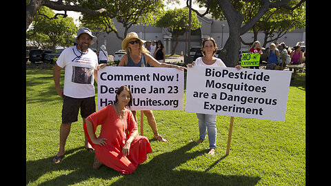 KITV4 News: Hawaii Unites Rally (Biopesticide Mosquitoes) 1/14/23