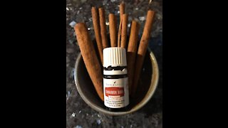 6 Uses for Cinnamon Bark
