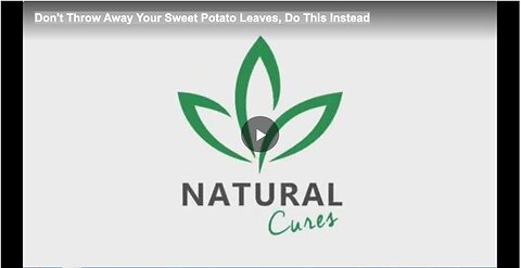 Don't Throw Away Your Sweet Potato Leaves, Do This Instead