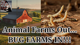 Animal Farms Out… Bug Farms In Already Here!
