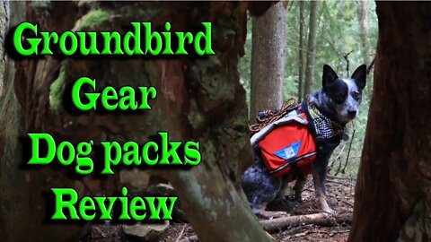 Groundbird Gear Dog Packs Review | Hiking with Dogs