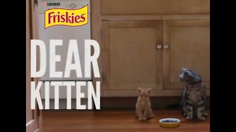 Dear Kitten - Original Ad from Friskies