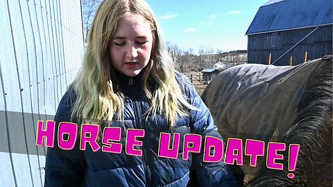Update On Sophie's New Horse!