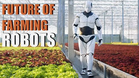 How Robots Harvest Millions of Tons of Fruits Every Day