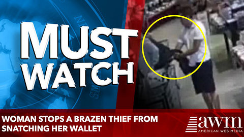 woman stops a brazen thief from snatching her wallet