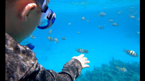 Grandson's first snorkeling experience in tropical waters.