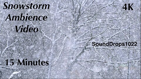 Chill in the Air: 15 Minutes Snowfall