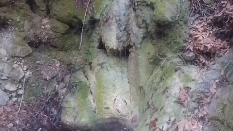 Waterwheel Creek Speleothem