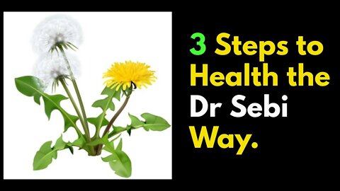 3 STEPS TO HEALTH THE DR SEBI WAY