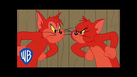 Tom & Jerry | The Tom and Butch Competition | WB Kids