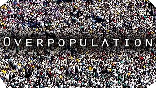 Overpopulation