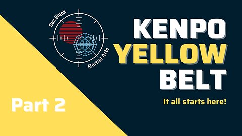 Yellow Belt Kenpo techniques 4-6