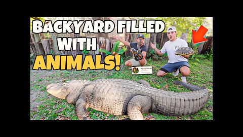 Visiting the MOST INSANE BackYard FULL of REPTILES!!