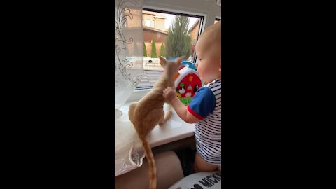The child is surprised by the cat and then suddenly :D