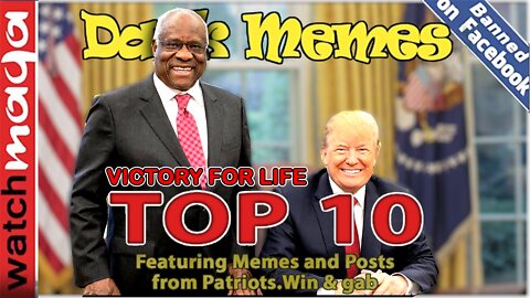 Victory for Life: TOP 10 MEMES