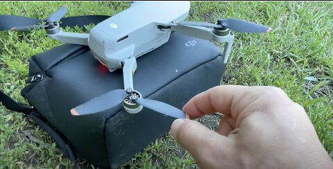 Bees ATTACK Our DJI Mini 2 - Aggression or Attraction?