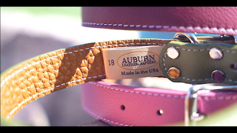 Handmade Tuscan Italian Leather Dog Leash - Available in 4ft and 6ft
