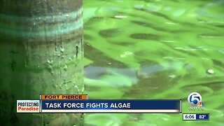 Blue-Green Algae Task Force identifies new contributor to water crisis