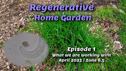 Regenerative Home Garden - episode 1 - What we are working with this season!